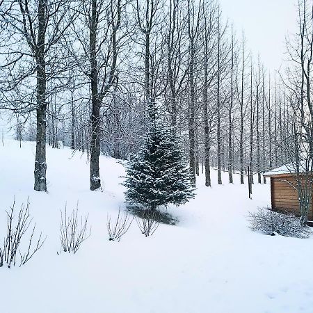 Ferienwohnung Laekjarbakki 11 Varmahlid  Exterior foto